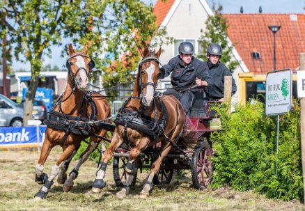 Enthousiasme bij paardenspektakel   